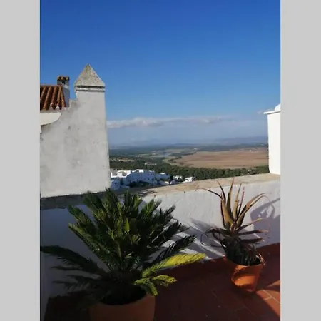 El Patio de la Ballena *